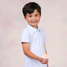 Load image into Gallery viewer, Michael Polo- Light Blue Stripe
